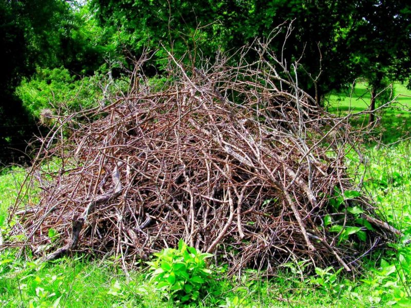 Close-up of an organized brush pile