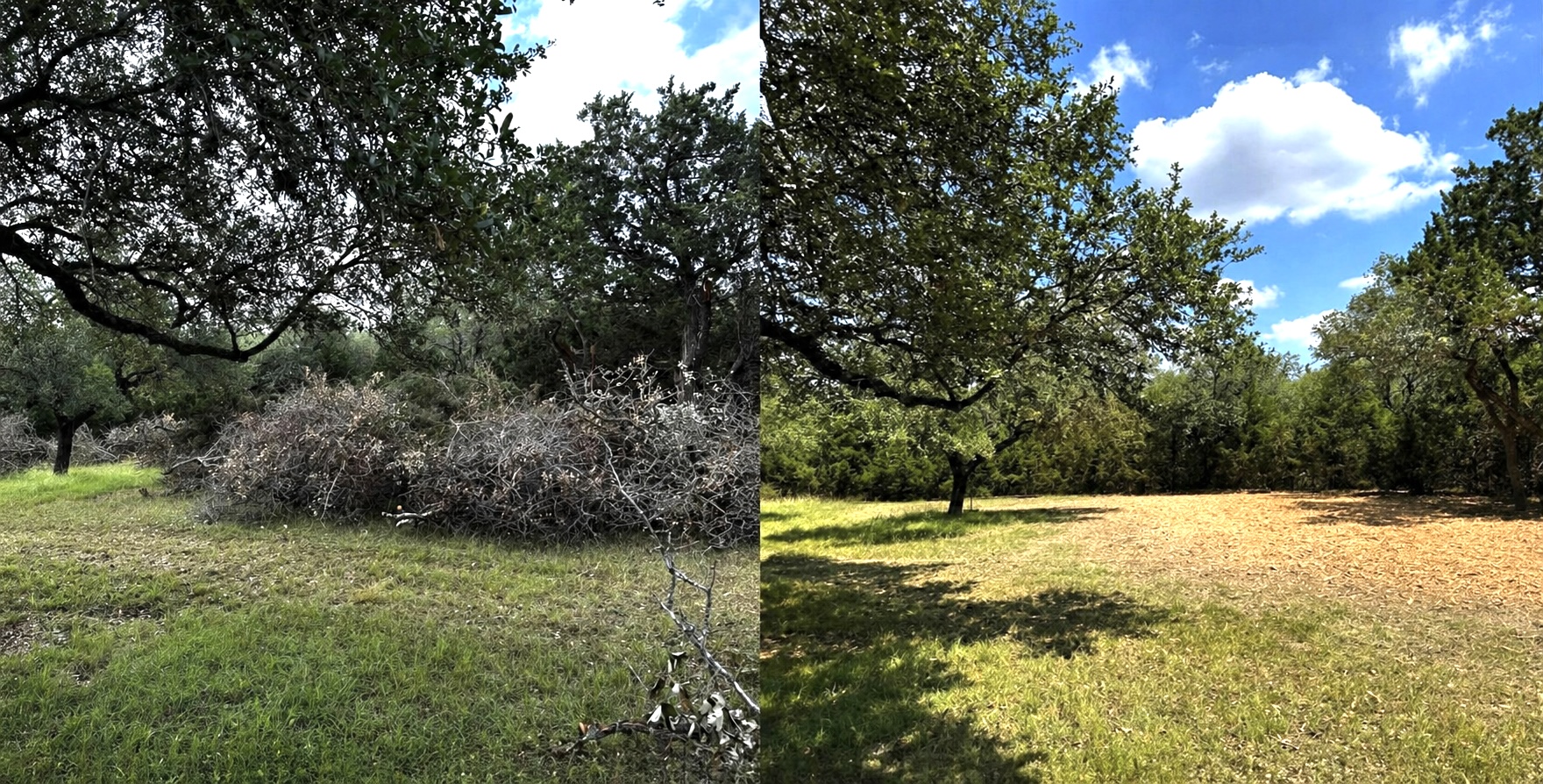 Before and after — Brush Removal & Clean Finish