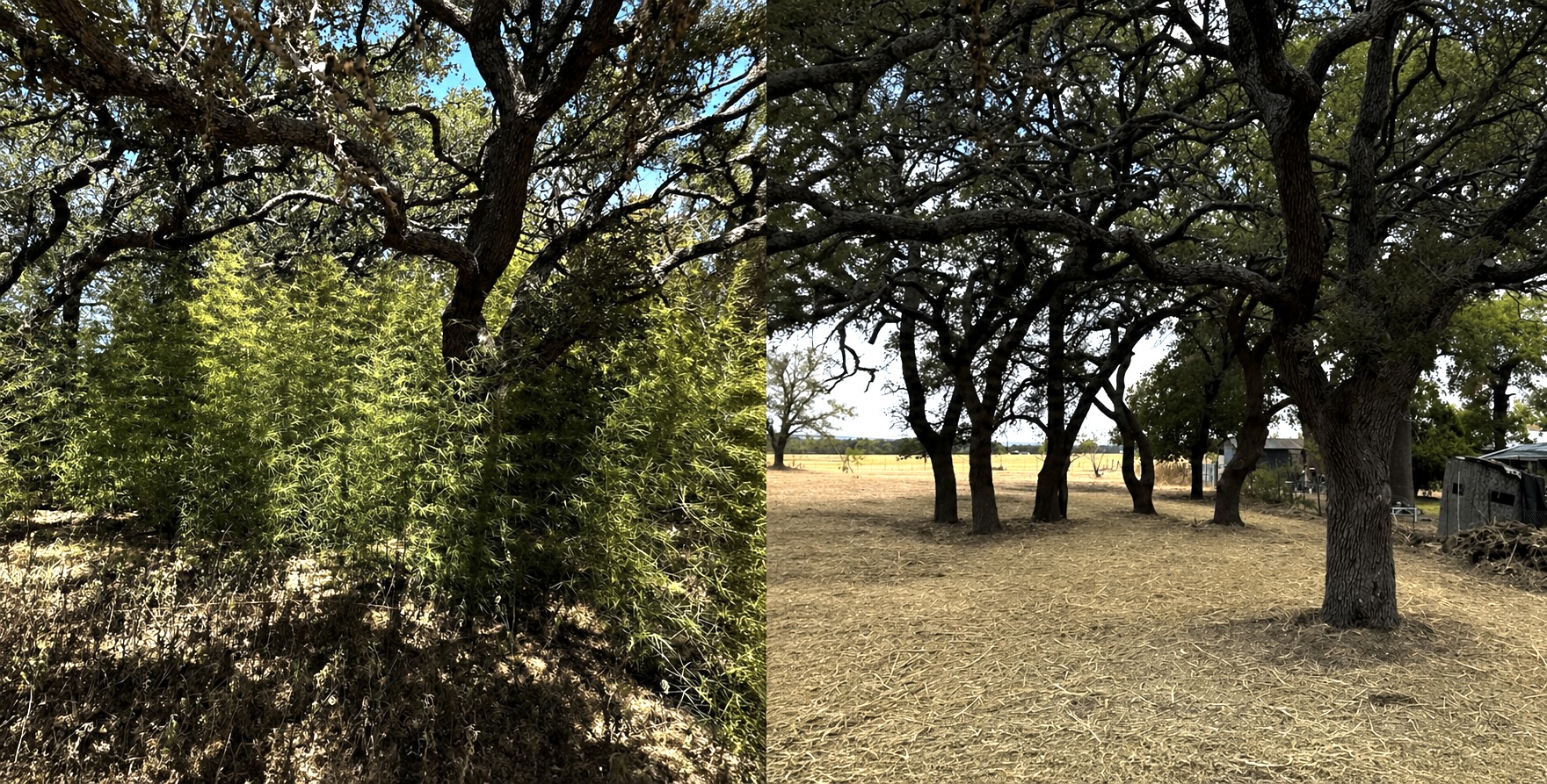 Before and after — Opening Up Usable Space