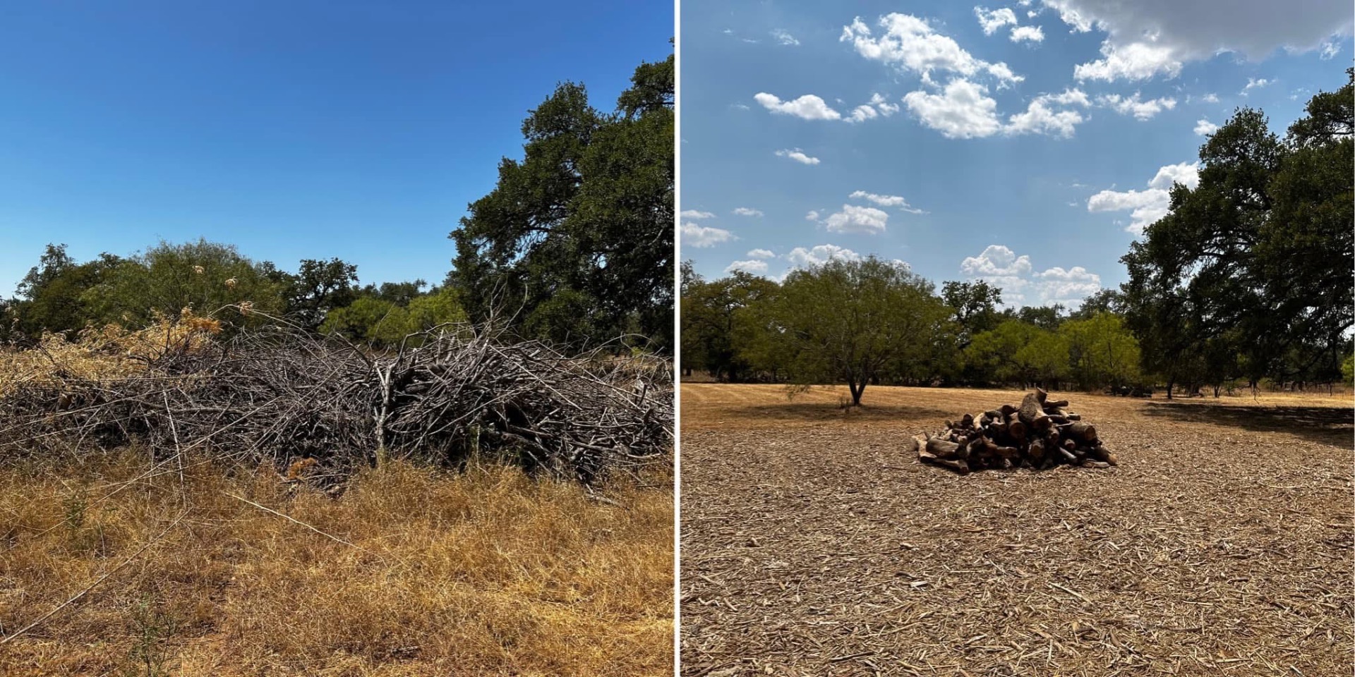 Pasture mowing after bamboo cleanup near Fredericksburg, Texas