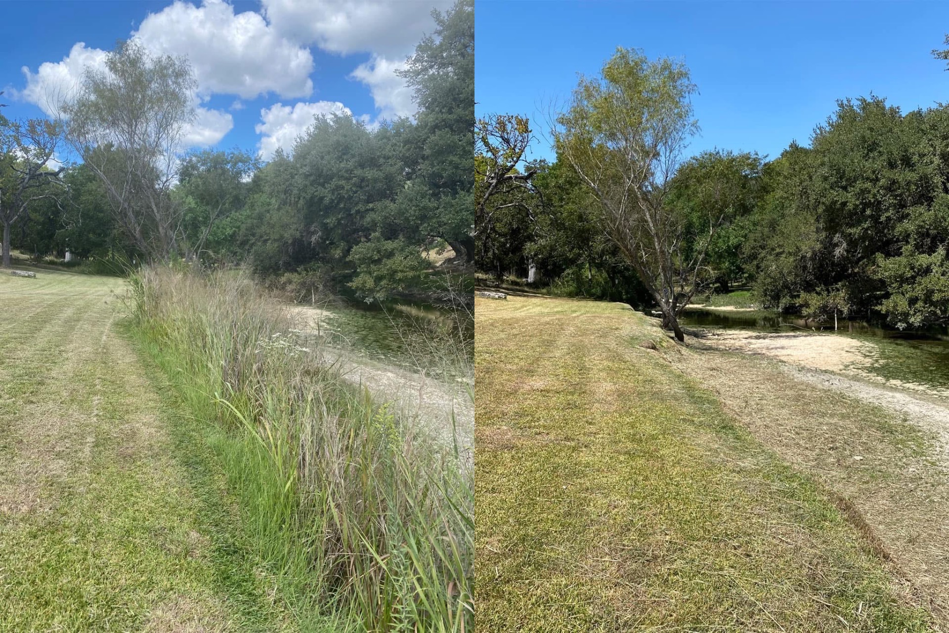 Overgrown creek before brush clearing in Boerne Texas
