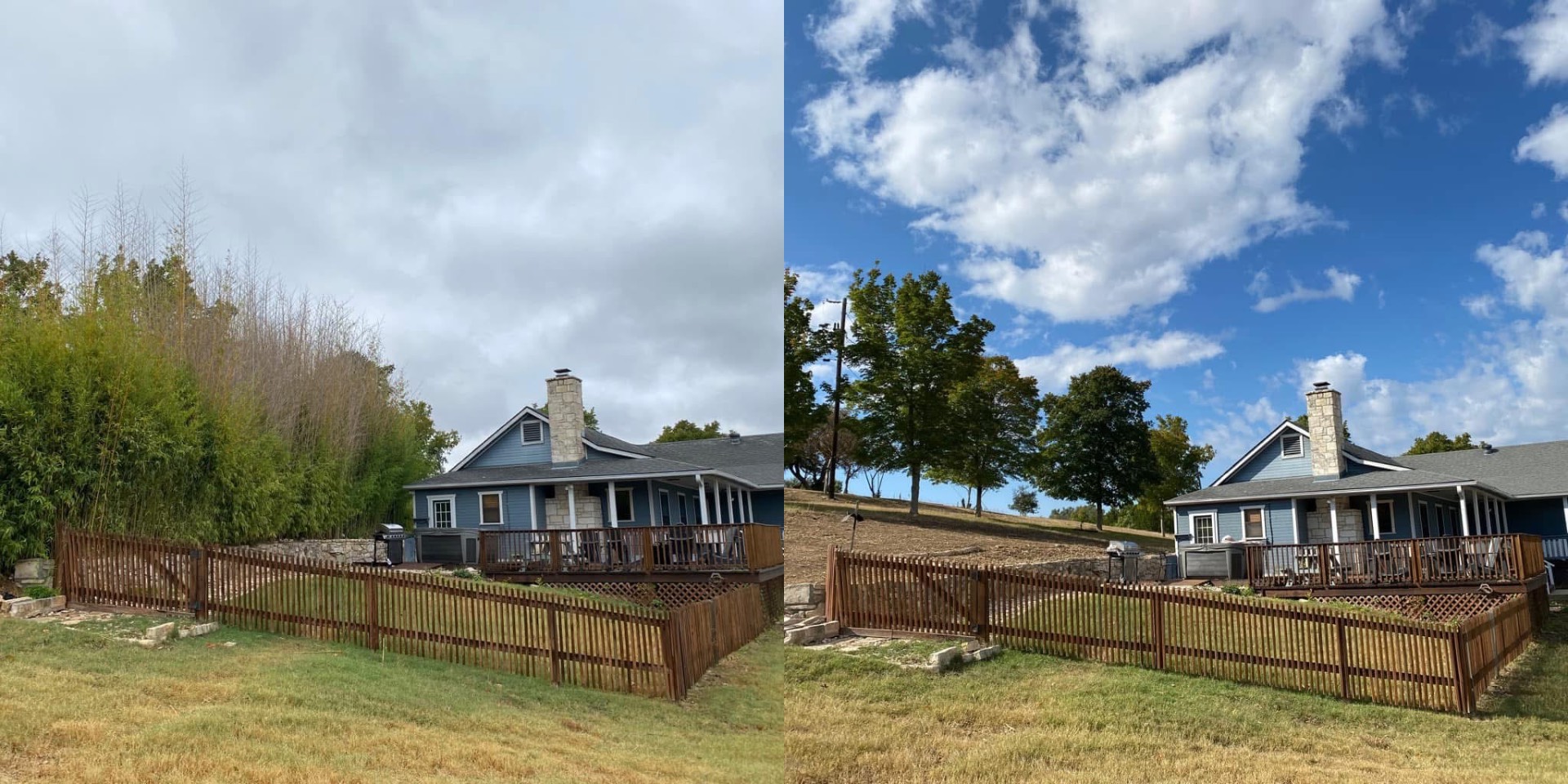 Bamboo removal and brush haul off project in Fredericksburg Texas
