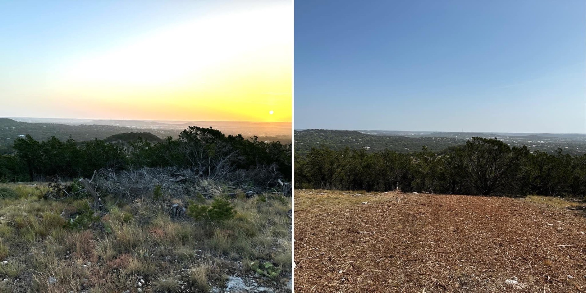 Hilltop cedar mulching in progress in the Texas Hill Country