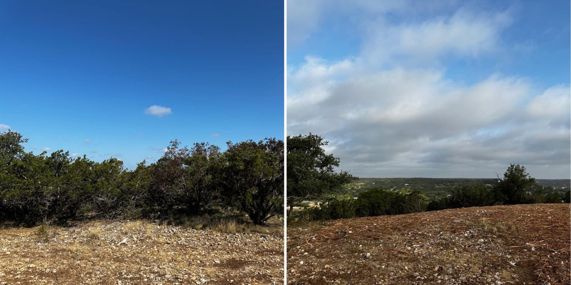 Cedar being mulched on a Kerrville TX hillside