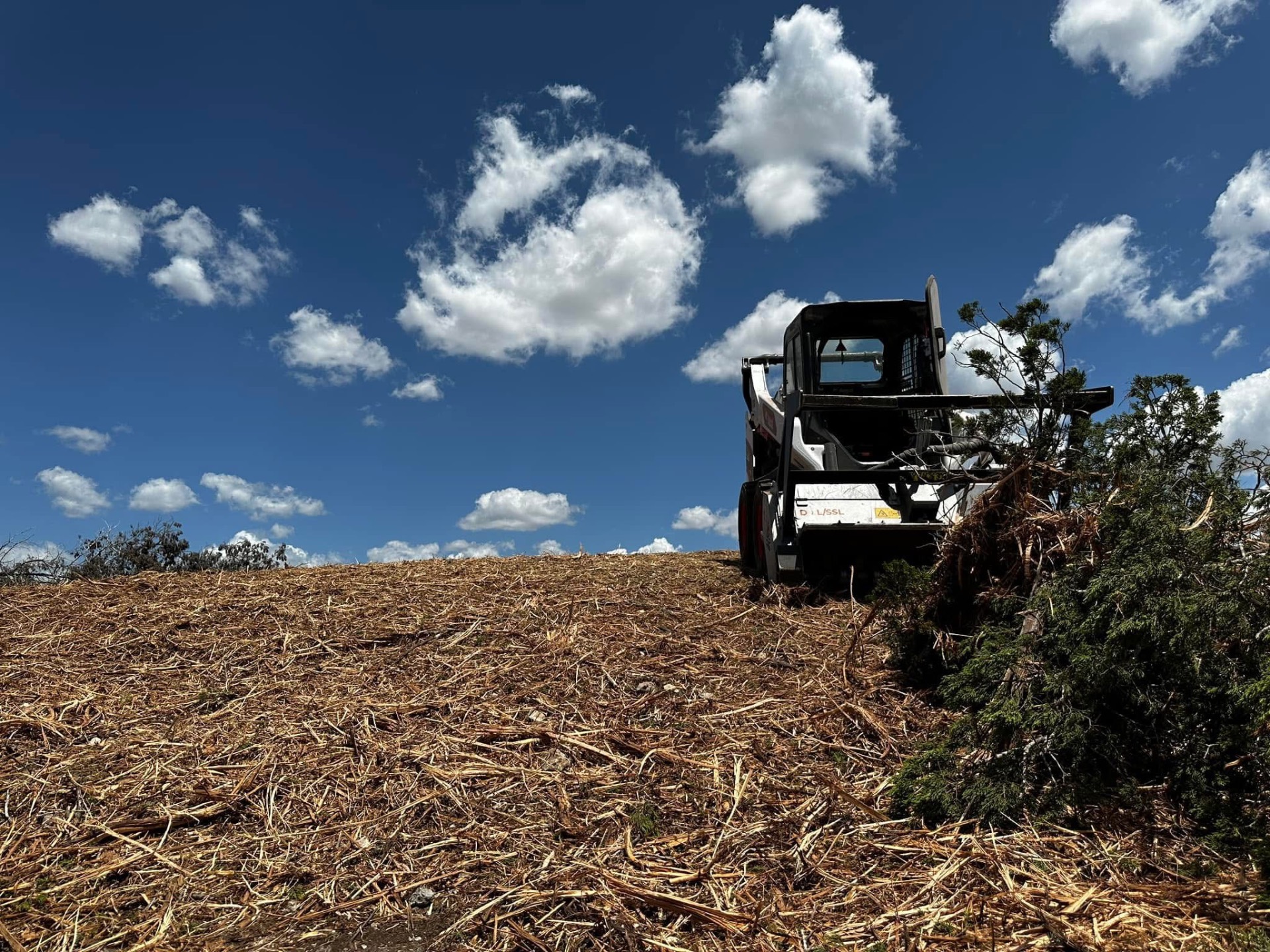 Finished hilltop cedar mulching project in Kerrville Texas