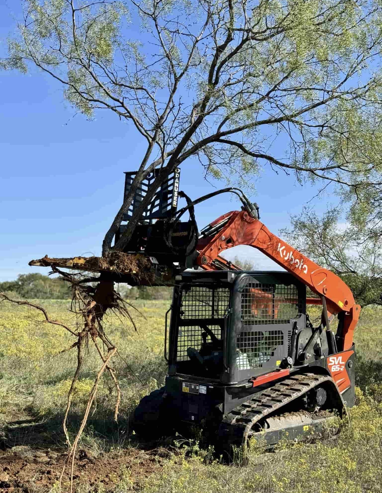 Skid steer removing mesquite tree in the Texas Hill Country