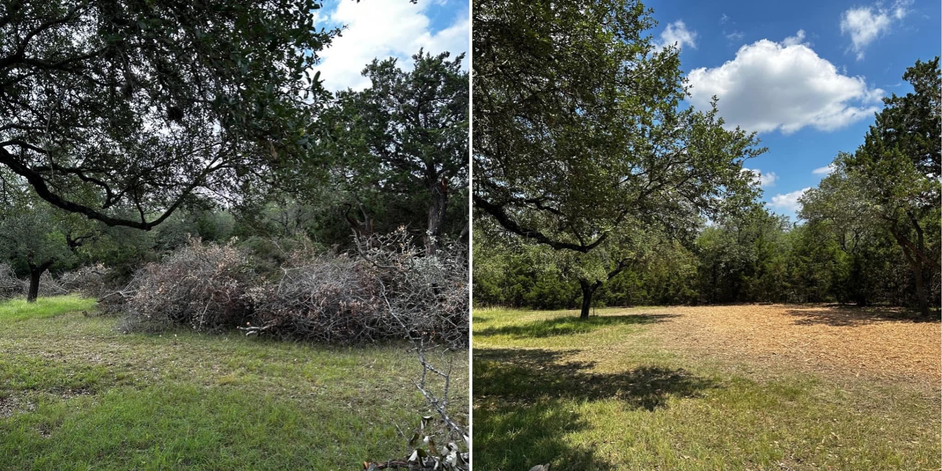 Oak brush piles before mulching on a Boerne Texas property