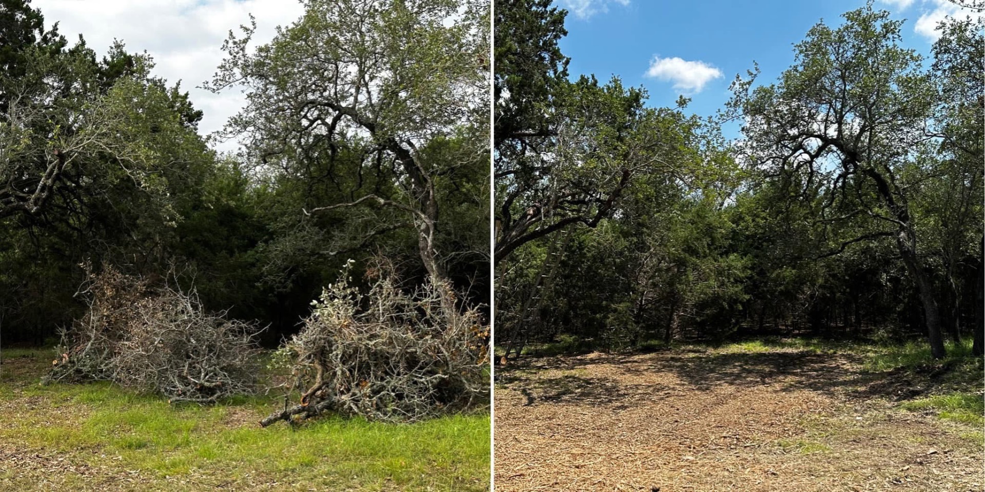 Brush pile mulching in progress in Boerne TX