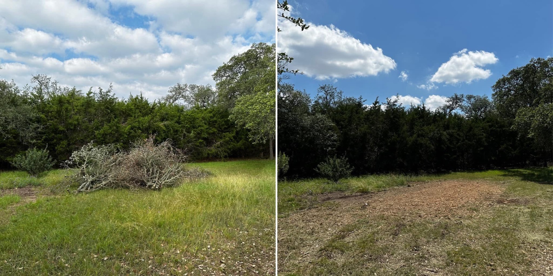 Clean ground after oak brush pile mulching in Boerne Texas