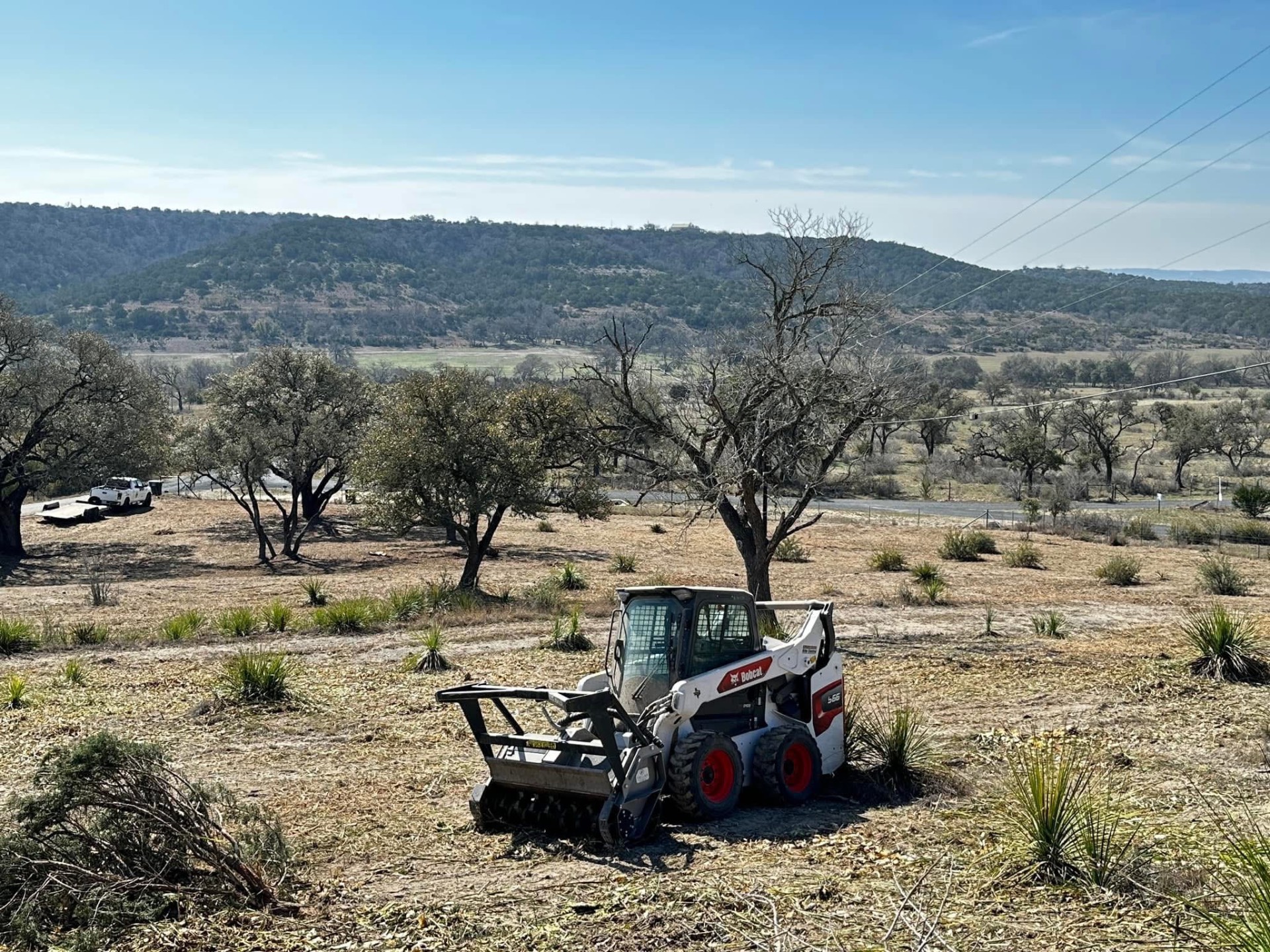 Cleaned and trimmed oak grove in Kerrville Texas