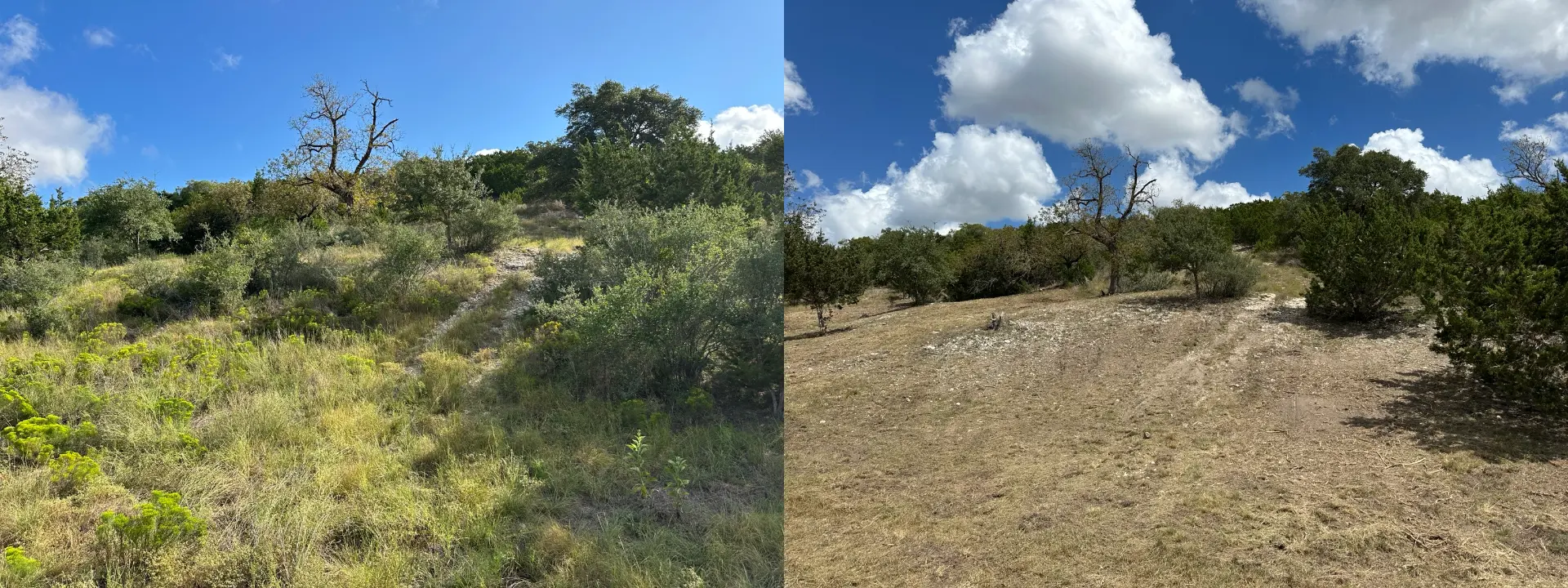 Sloped Boerne hillside before and after brush mowing and forestry mulching