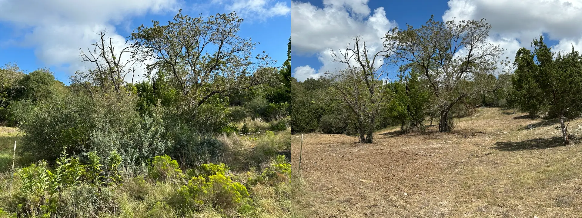 Hill Country slope in Boerne before and after clearing cedar and woody brush