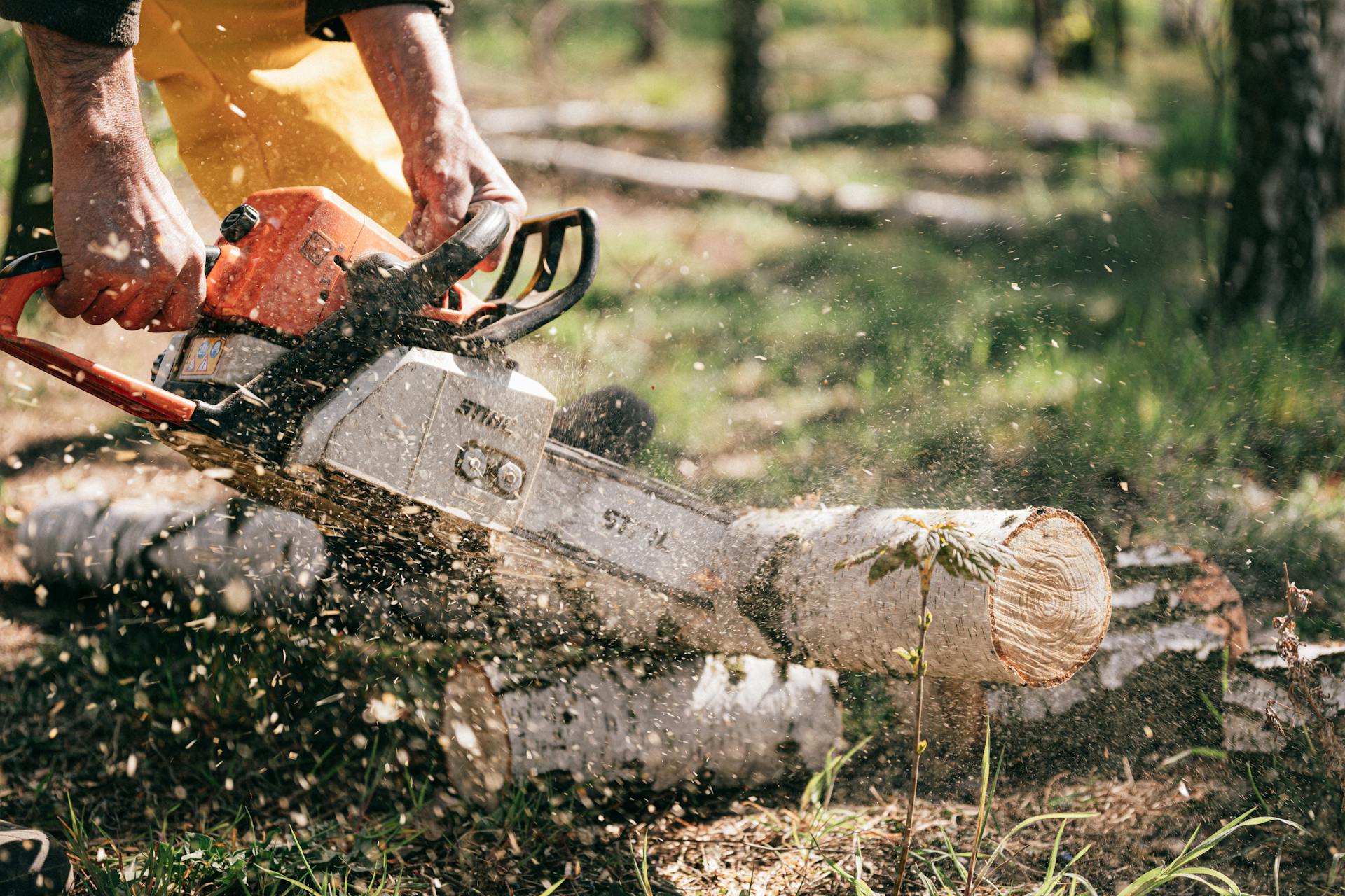 Chainsaw cutting a fallen log during storm debris cleanup