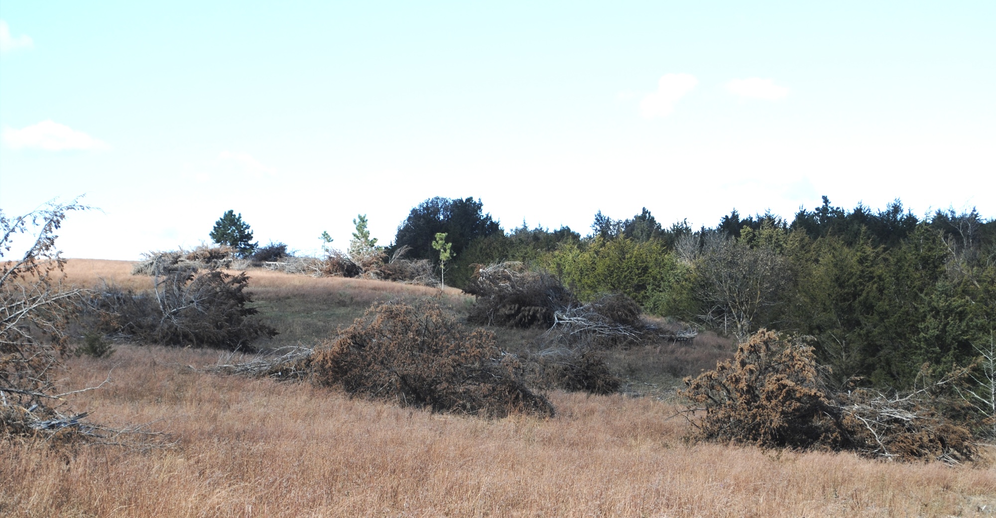 Ag Exemption Pile Creation