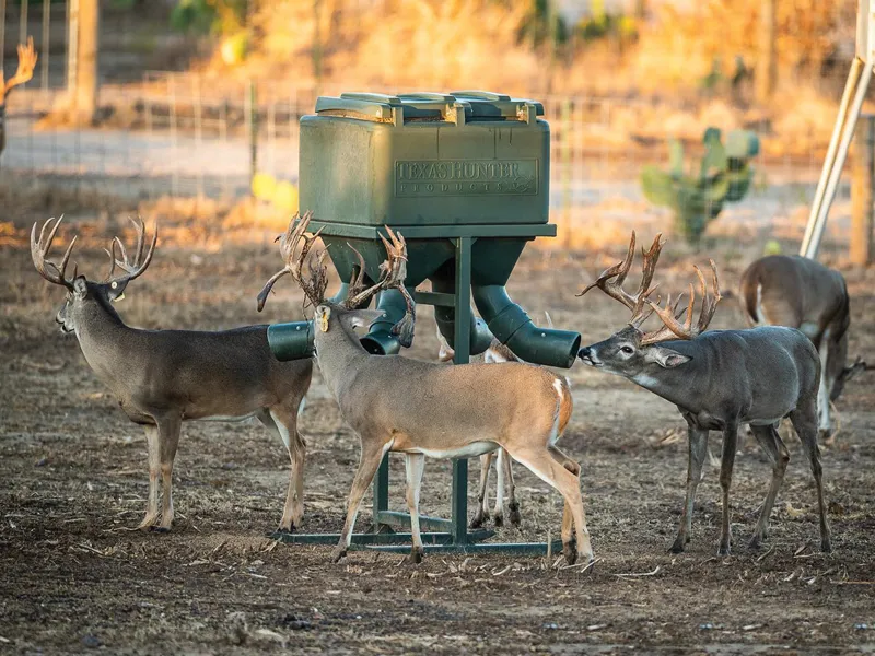 Wildlife Habitat & Hunting Trail Clearing