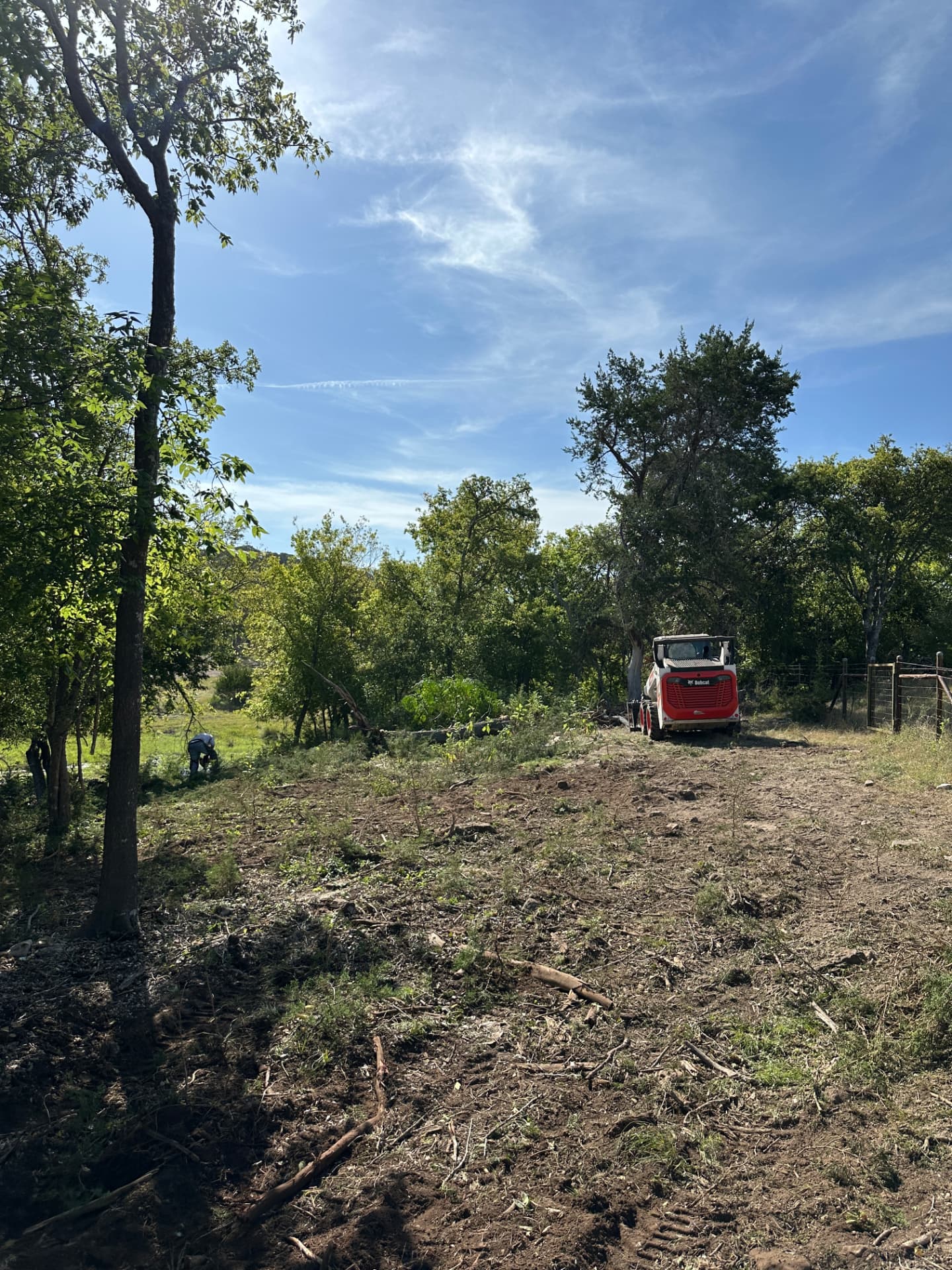 Skid steer clearing the utility access corridor on a Kerrville, Texas property