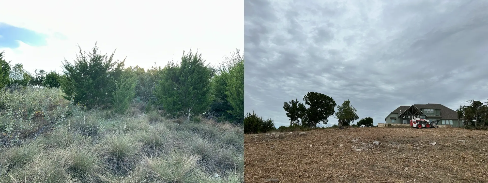 Hillside View Opening & Cedar Mulching