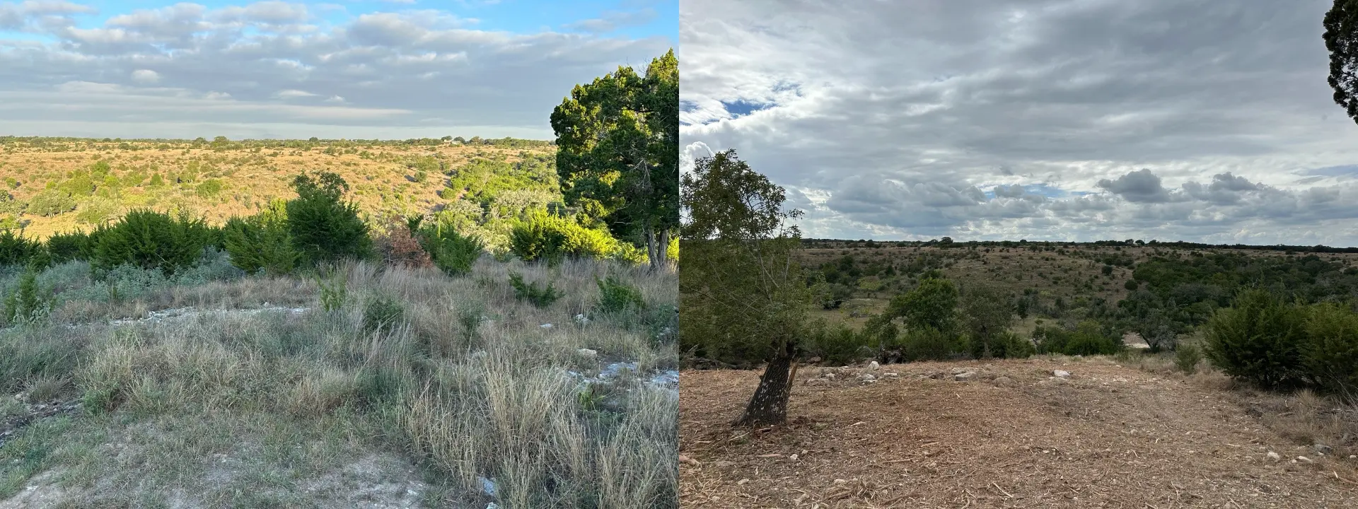 Overgrown cedar hillside before and after forestry mulching revealed a scenic Hill Country vista